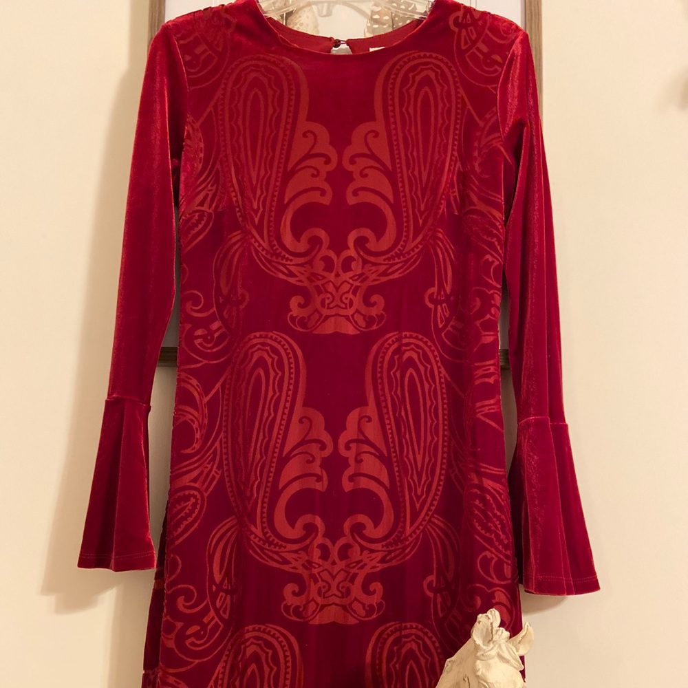 Long Sleeve Velvet Dress